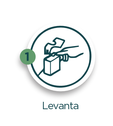 Levanta